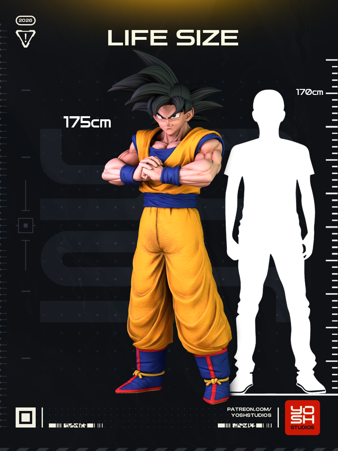 Lifesize Kits